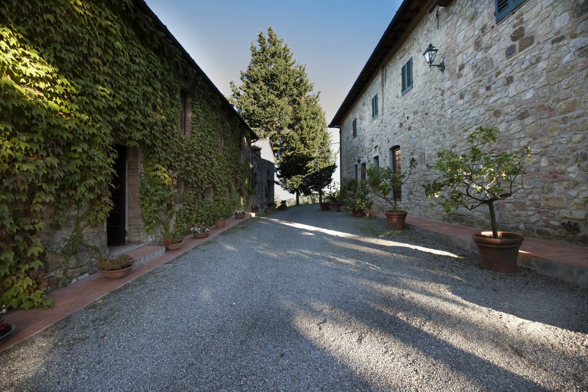 B&B La Torre - Fattoria Di Larniano San Gimignano Bagian luar foto